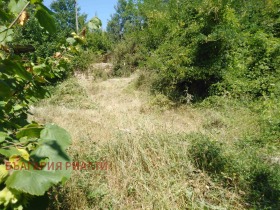 ������� ������ | Imot.bg � ����� ������ 5