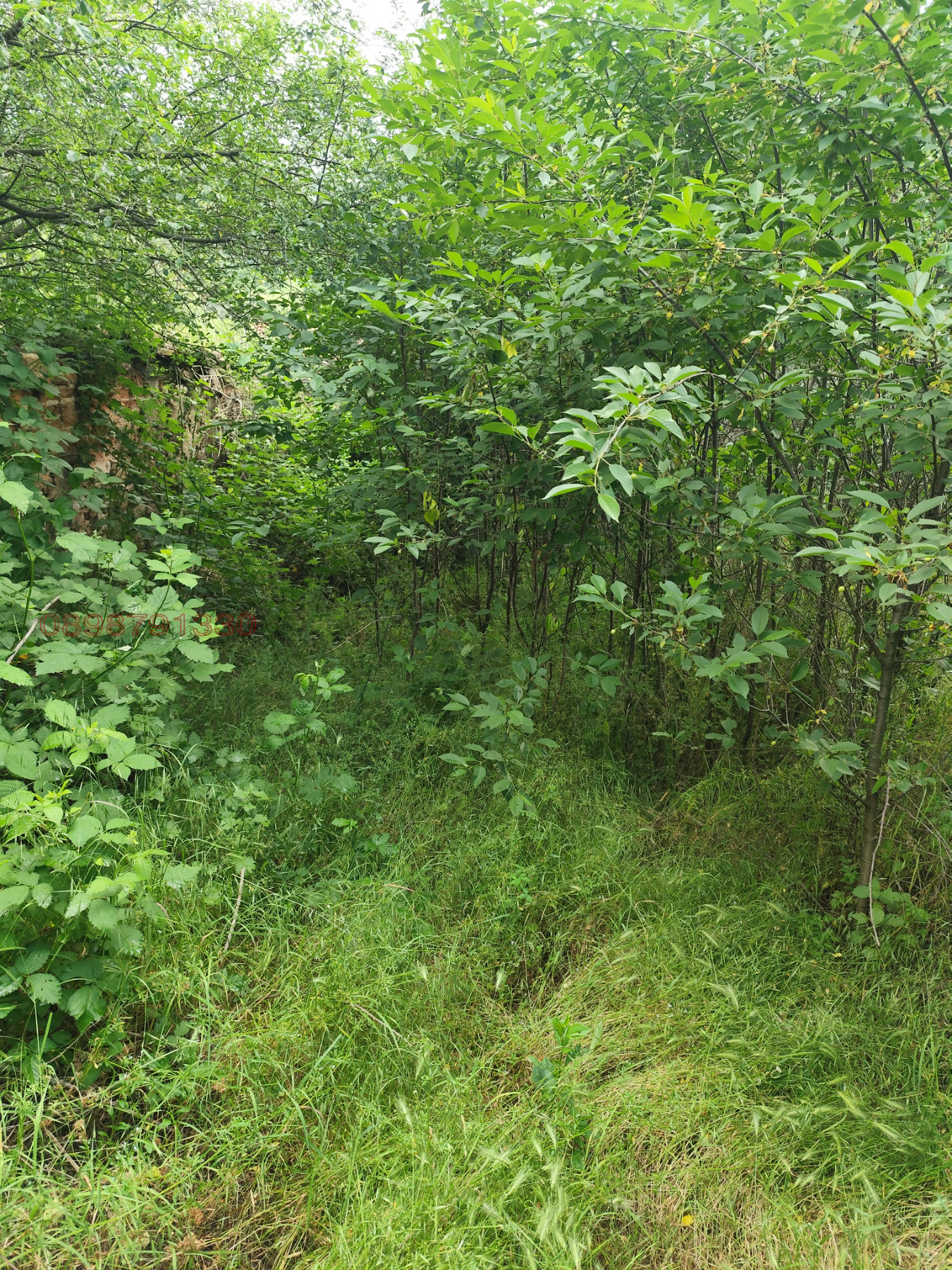 Продава КЪЩА, с. Оборище, област Пазарджик, снимка 6 - Къщи - 54730054