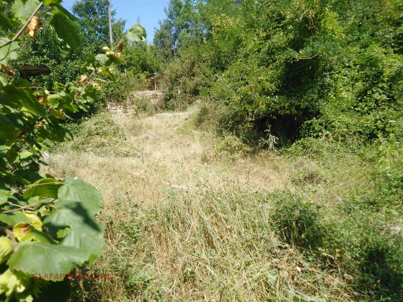 Продава ПАРЦЕЛ, с. Манаселска река, област София област, снимка 5 - Парцели - 54659125