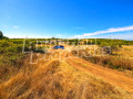 Продава ЗЕМЕДЕЛСКА ЗЕМЯ, с. Арбанаси, област Велико Търново, снимка 4