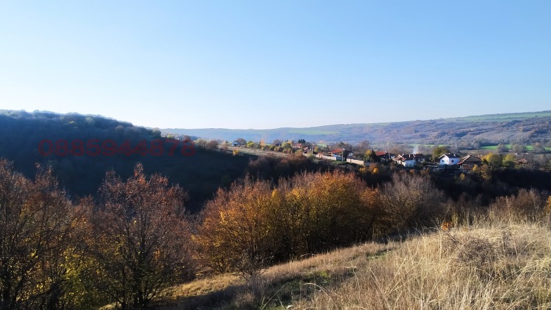 Продава ПАРЦЕЛ, с. Пушево, област Велико Търново, снимка 2 - Парцели - 52785019