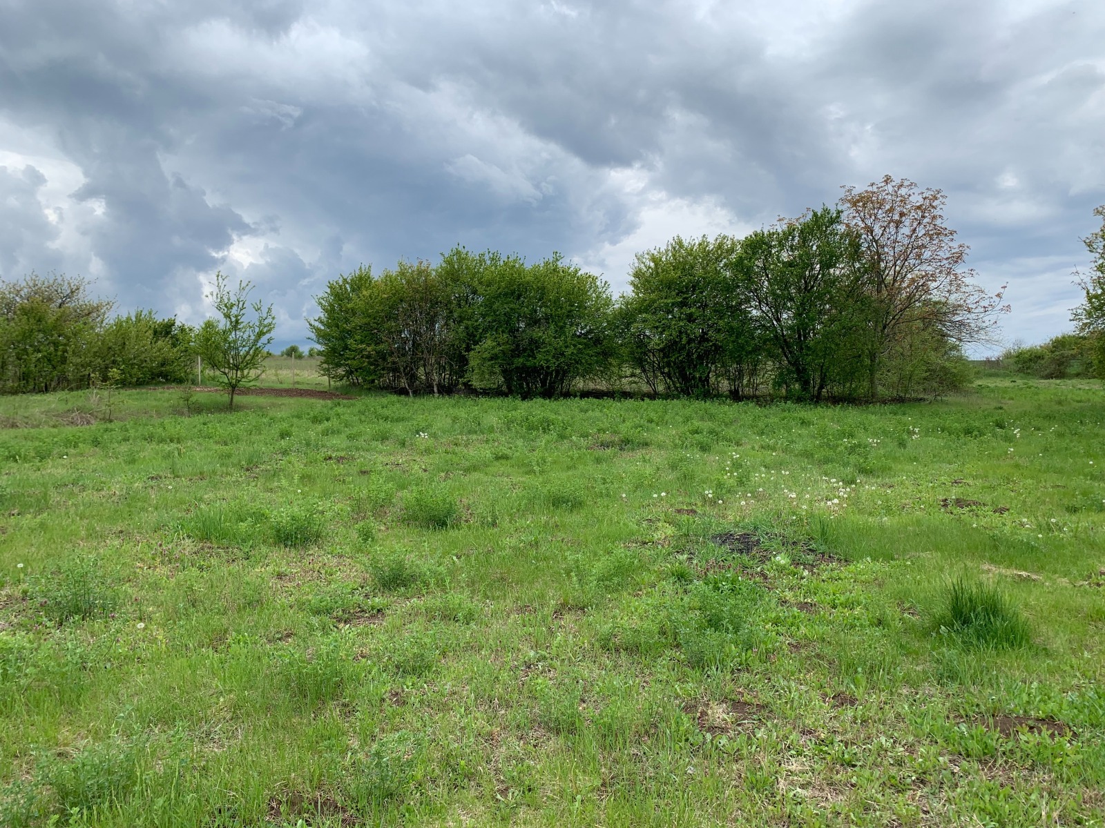 Продава КЪЩА, с. Поликраище, област Велико Търново, снимка 3 - Къщи - 54035625