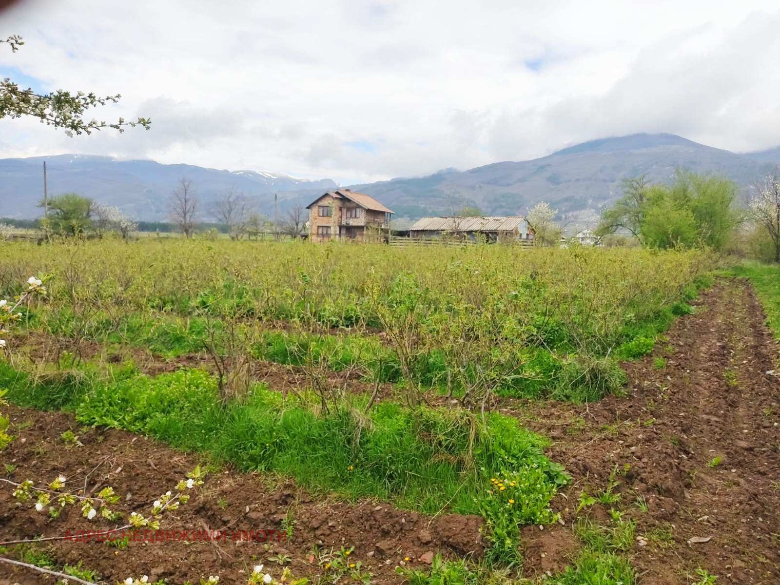 Продава ПАРЦЕЛ, с. Тъжа, област Стара Загора, снимка 2 - Парцели - 49838707