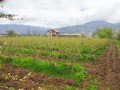 Продава ПАРЦЕЛ, с. Тъжа, област Стара Загора, снимка 2