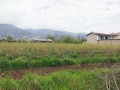 Продава ПАРЦЕЛ, област Стара Загора, с. Тъжа • 14400 € / 28163.95 лв. • 55867777 3