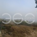 Продава ПАРЦЕЛ, град Варна, с. Звездица • 134680 € • 52553190 — Holmes.bg