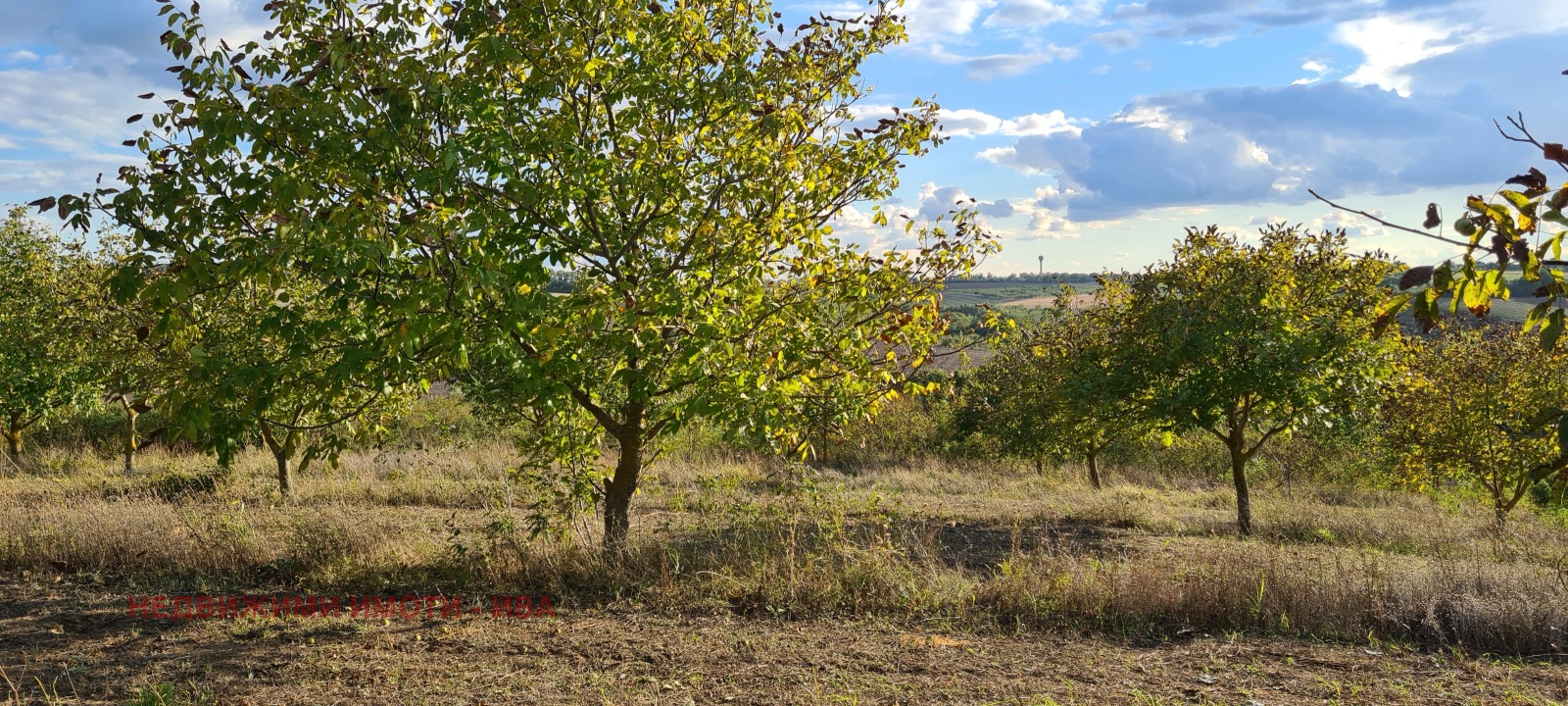 ������� ���������� ���� | Imot.bg � ����������� 4