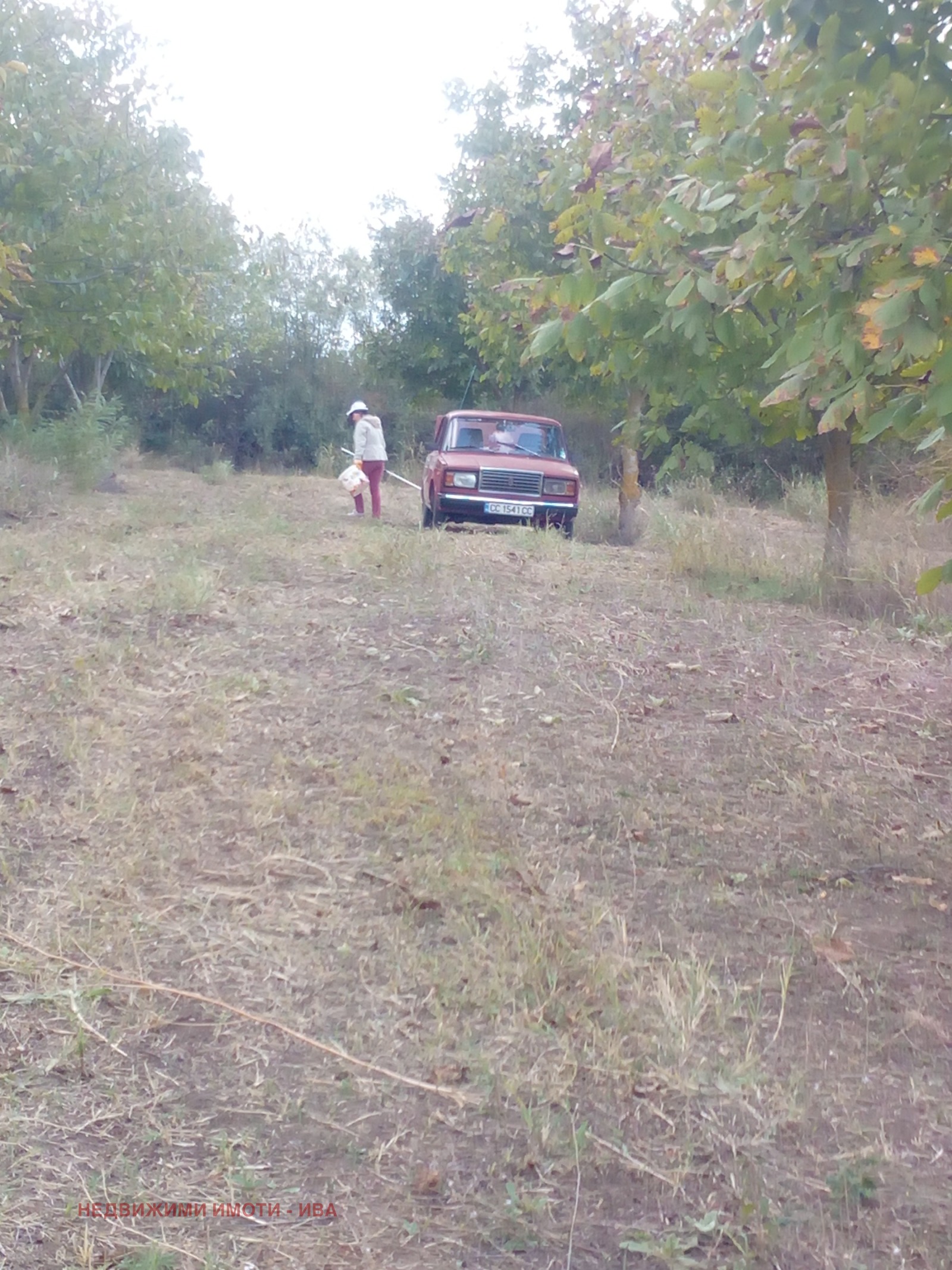 ������� ���������� ���� | Imot.bg � ����������� 7