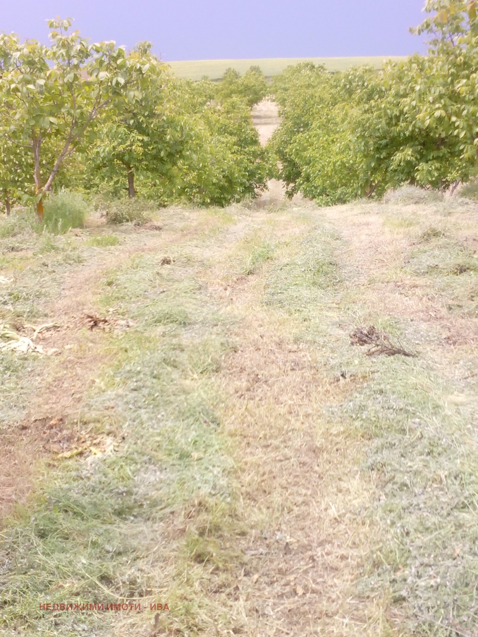 ������� ���������� ���� | Imot.bg � ����������� 6