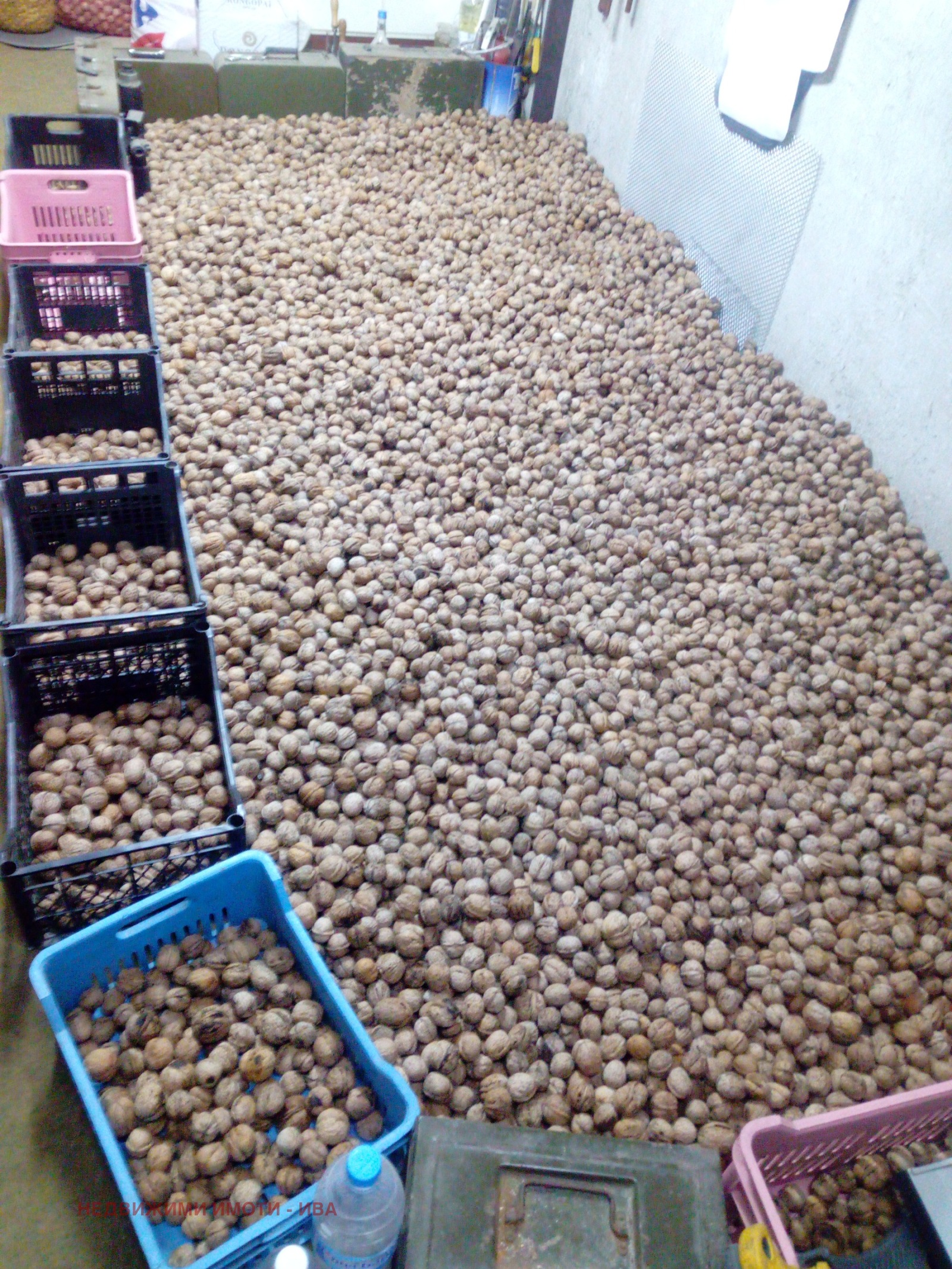 ������� ���������� ���� | Imot.bg � ����������� 8