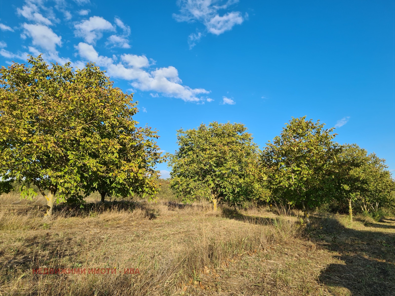 ������� ���������� ���� | Imot.bg � ����������� 2