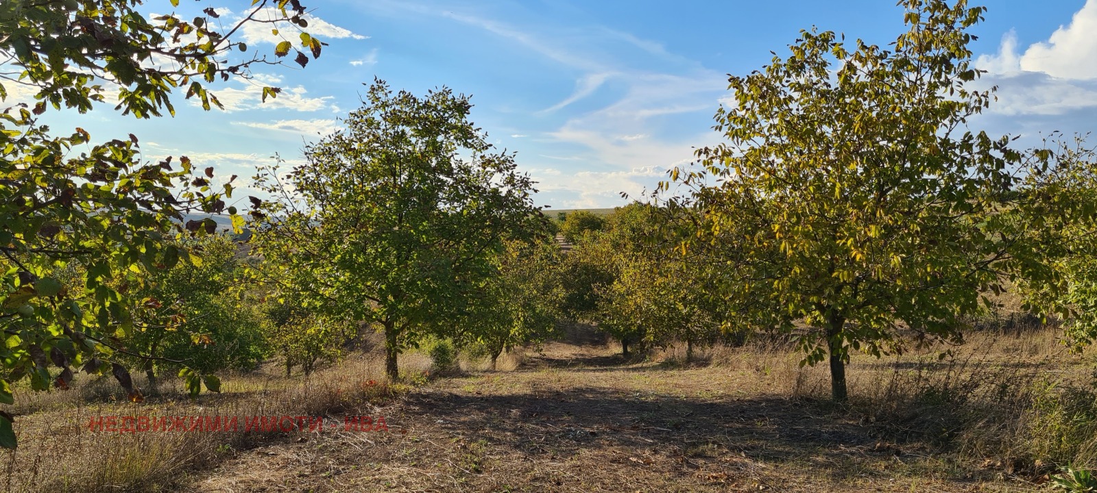 ������� ���������� ���� | Imot.bg � ����������� 1