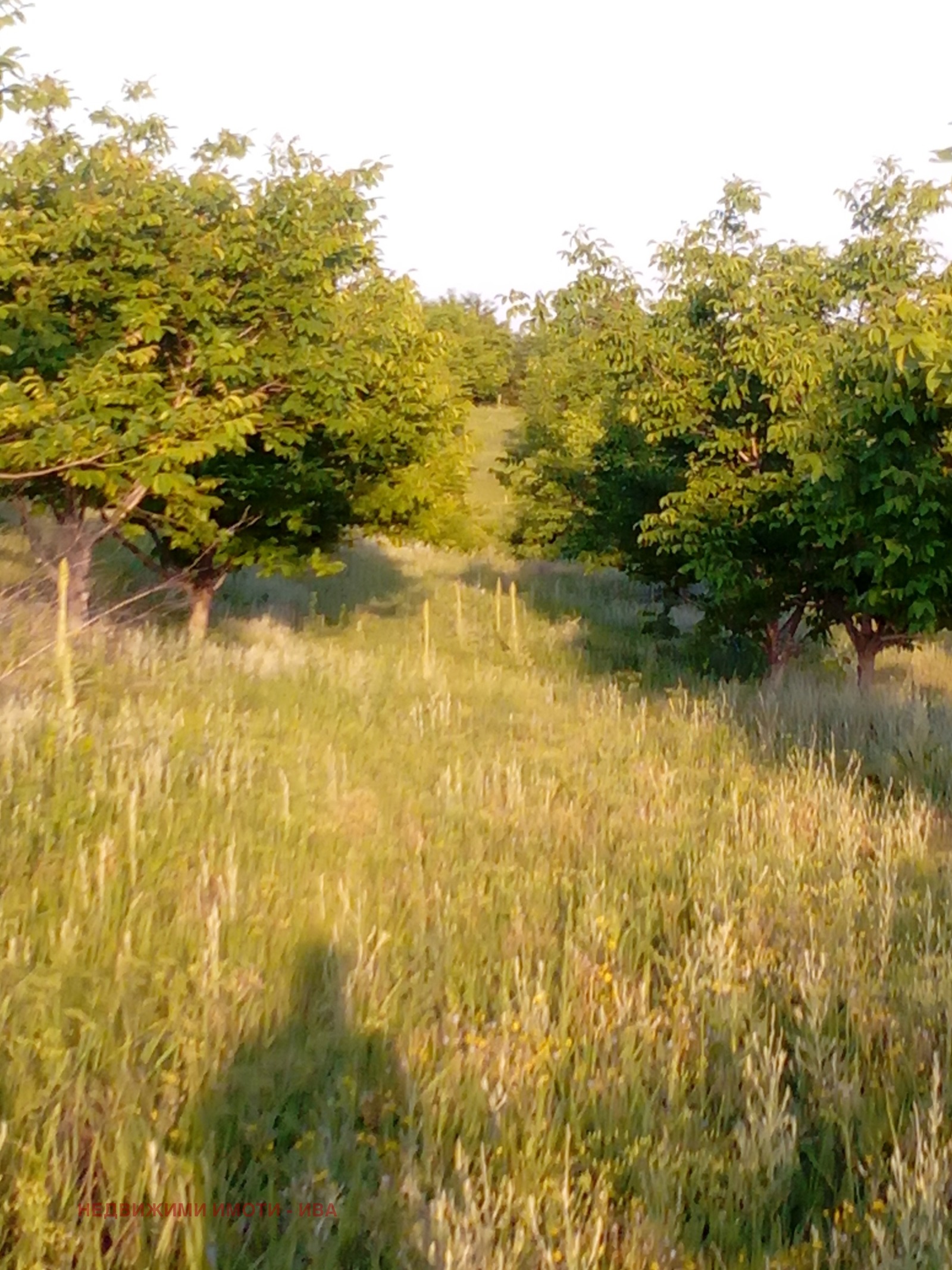 ������� ���������� ���� | Imot.bg � ����������� 5