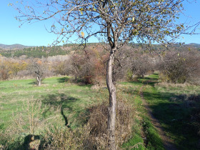 ������� ������ | Imot.bg � ����� ������ 12