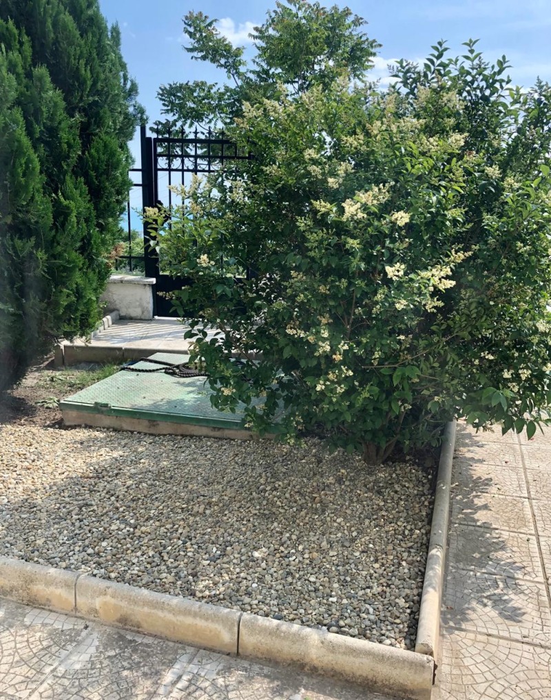 Προς πώληση  Στούντιο περιοχή Dobrich , Βαλτσηκ , 54 τ.μ | 57731717 - εικόνα [12]