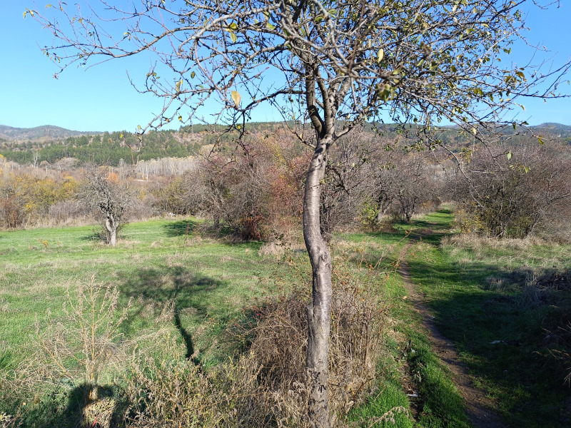 Продава ПАРЦЕЛ, гр. София, гр. Нови Искър, снимка 11 - Парцели - 53532189