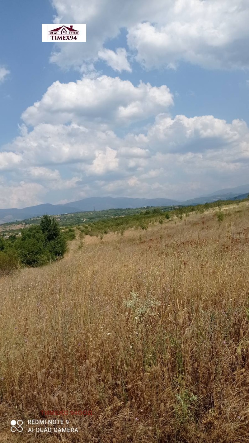 En venta  Tierra región Blagoevgrad , Riltsi , 27 dka | 46565937 - imagen [5]