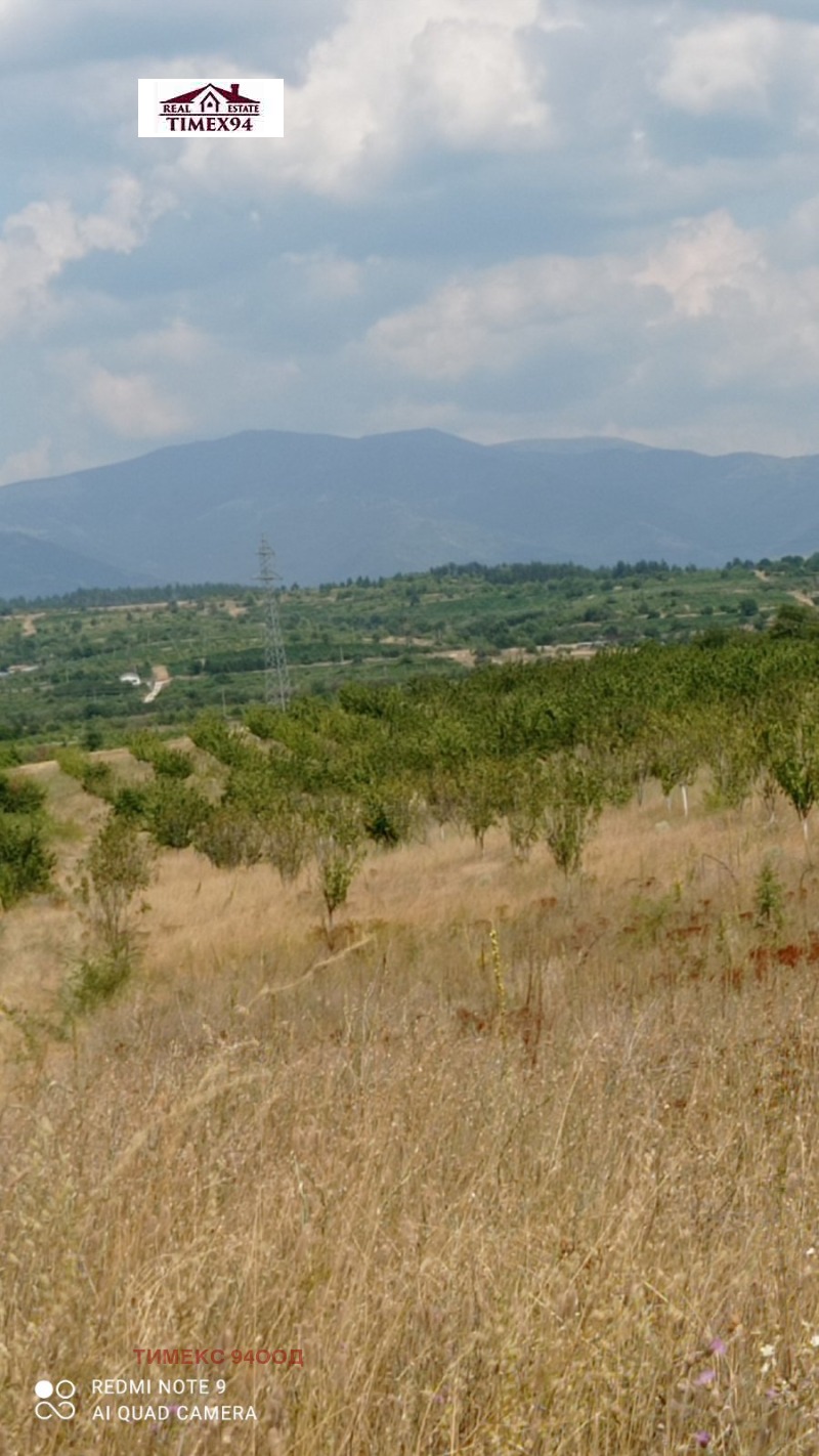 Προς πώληση  Γη περιοχή Μπλαγκόεβγκραντ , Ρηλτση , 27 dka | 46565937 - εικόνα [3]