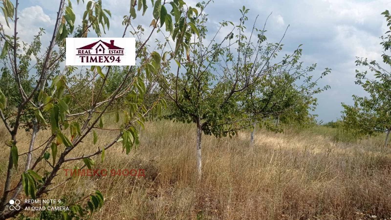 Te koop  Land regio Blagoëvgrad , Riltsi , 27 dka | 46565937