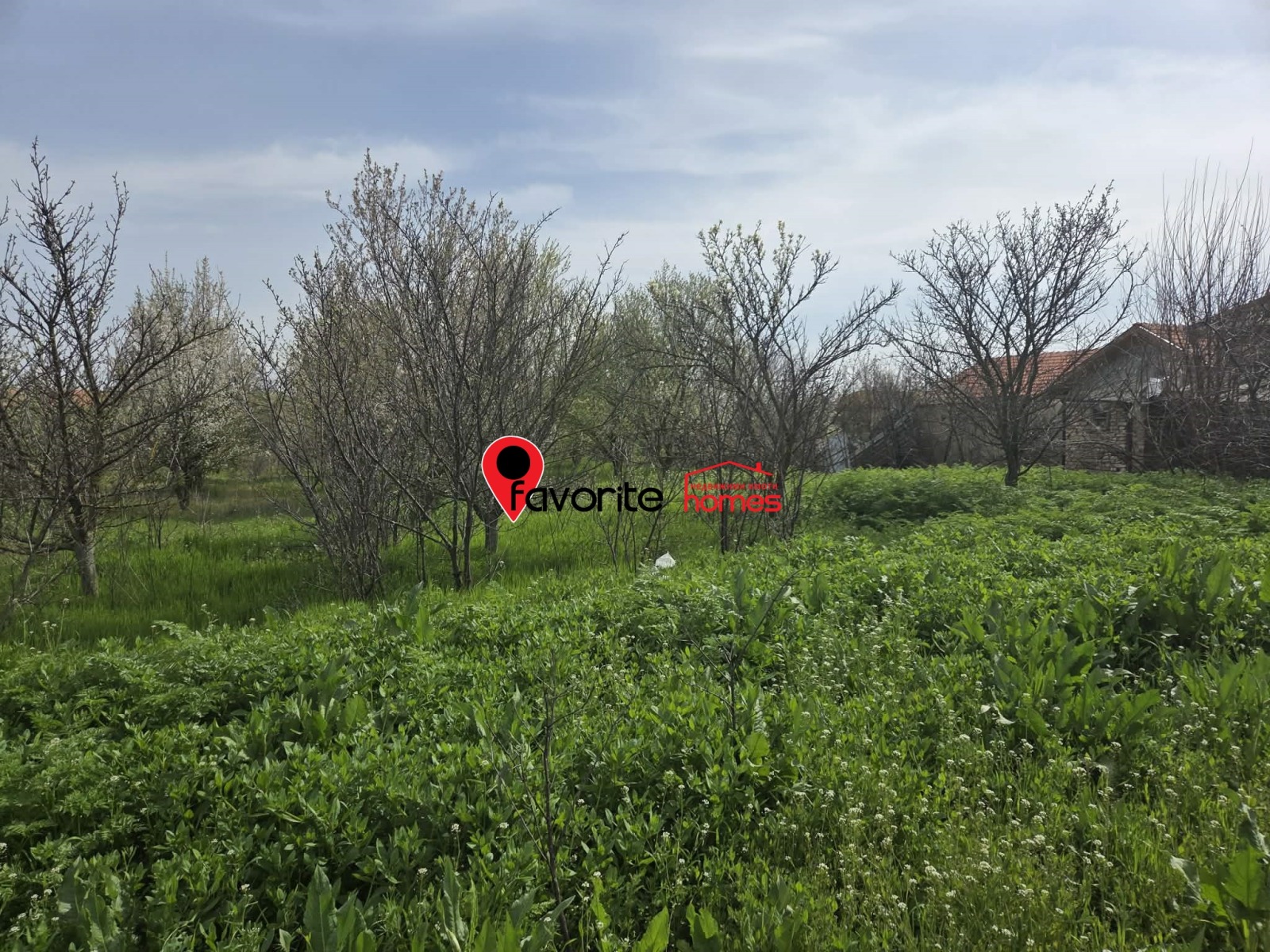 Продава ПАРЦЕЛ, с. Златна нива, област Шумен