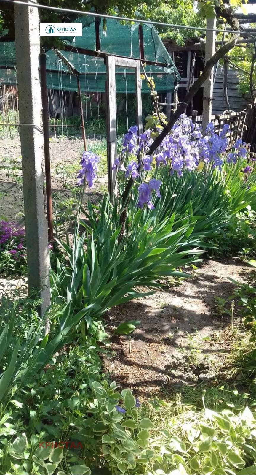 ������� ���� | Imot.bg � ����������� 15