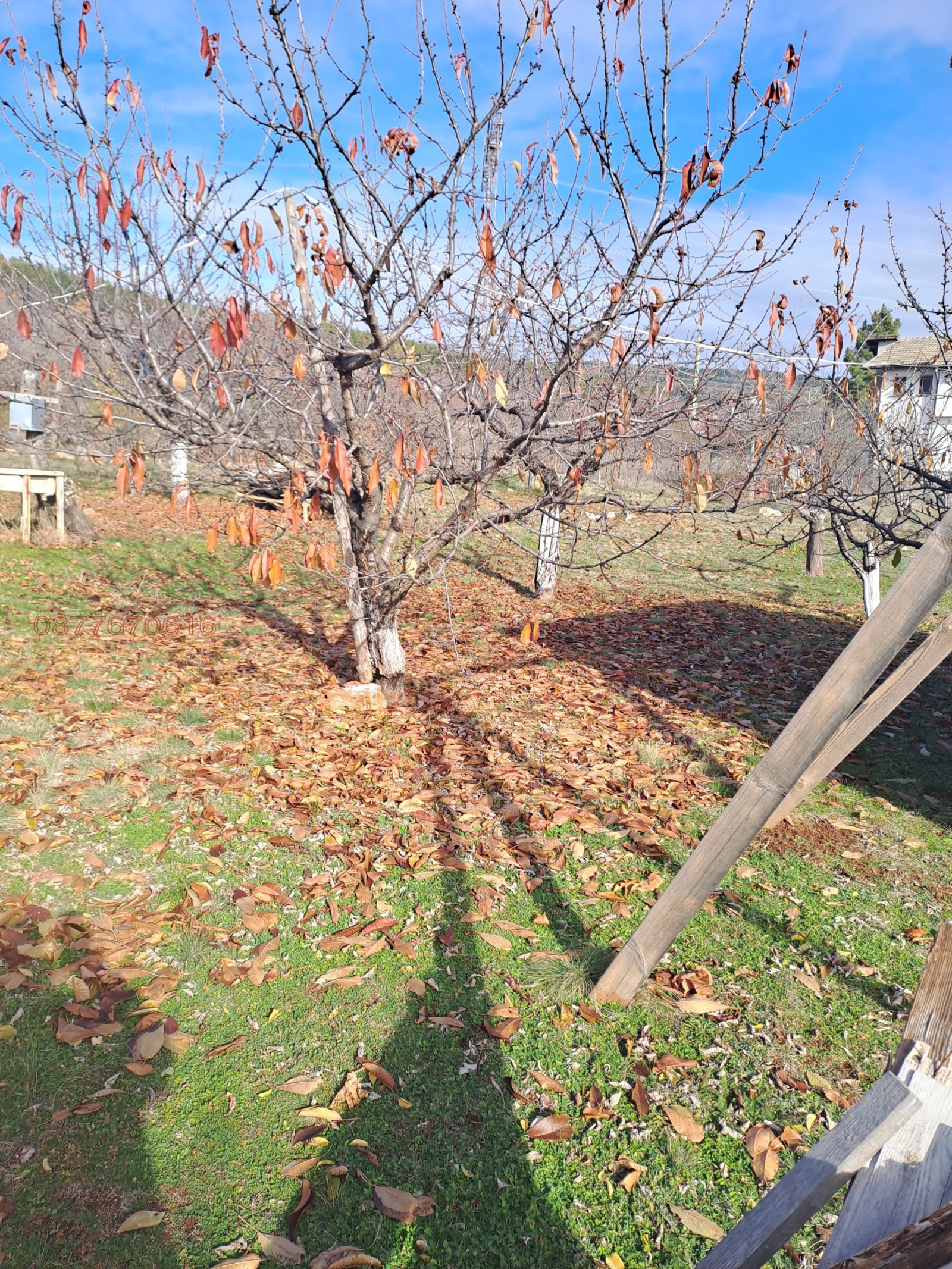 Продава ПАРЦЕЛ | Imot.bg — изображение 6