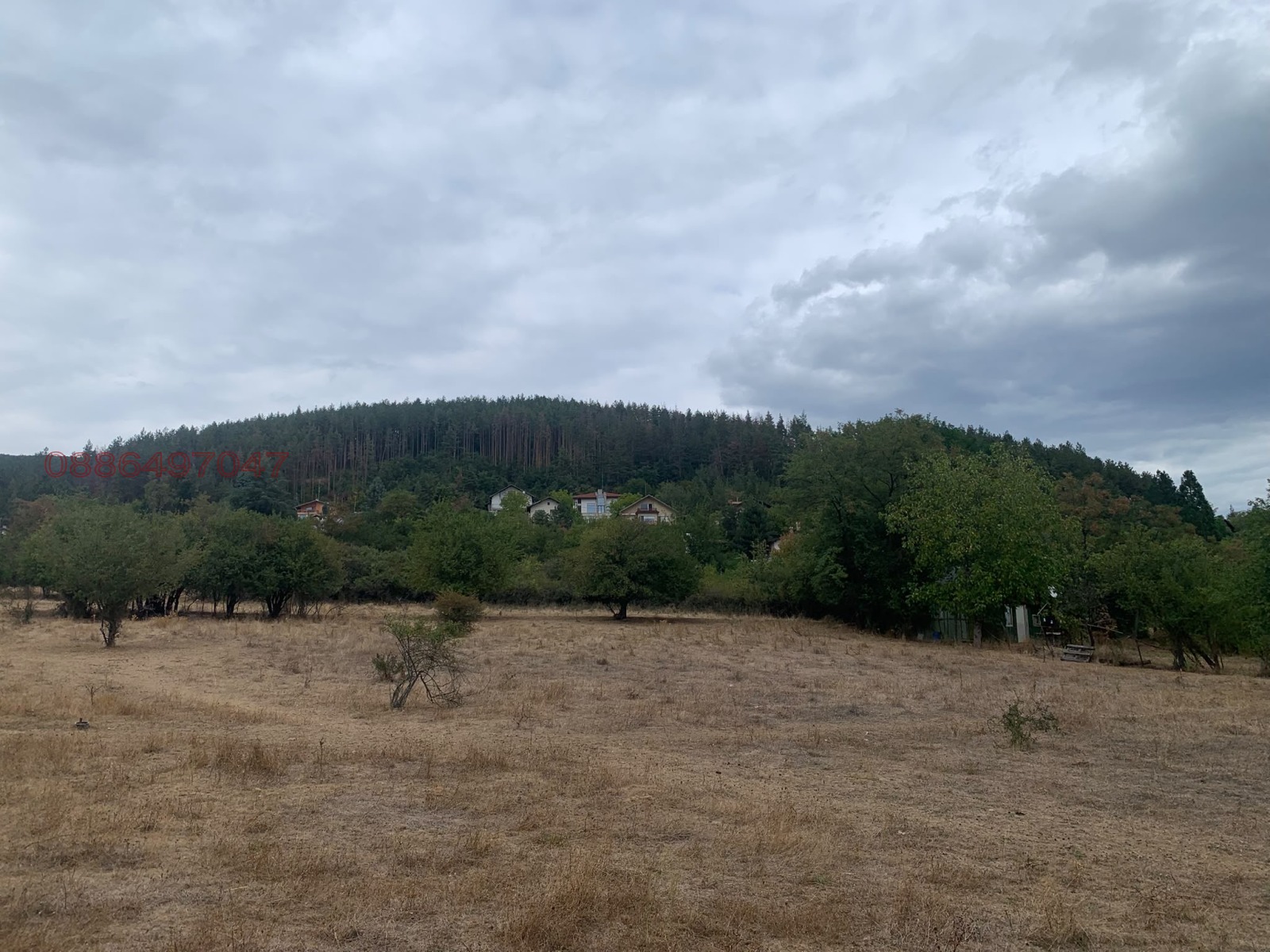 ������� ������ | Imot.bg � ����������� 3