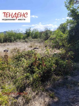 ������� ������ | Imot.bg � ����� ������ 11