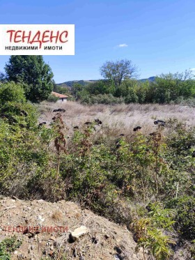 ������� ������ | Imot.bg � ����� ������ 9