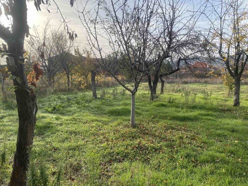 Продава КЪЩА, с. Столетово, област Пловдив, снимка 6 - Къщи - 52453345