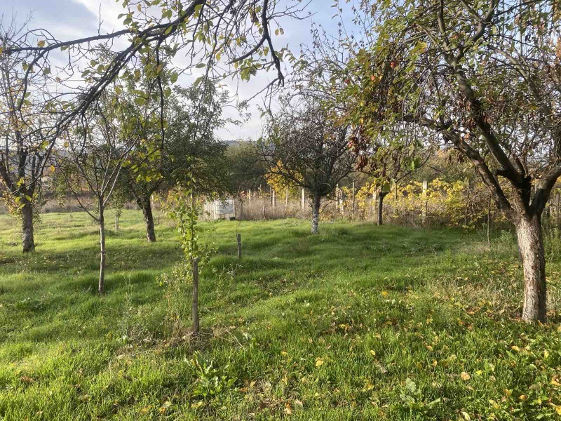 Продава КЪЩА, с. Столетово, област Пловдив, снимка 3 - Къщи - 52453345