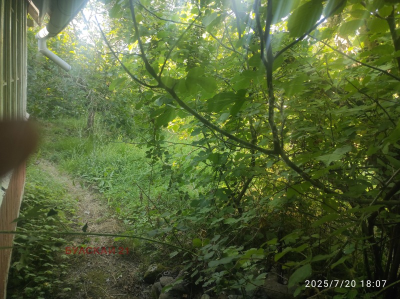 Zu verkaufen  Handlung region Burgas , Zarewo , 800 qm | 29691344 - Bild [3]