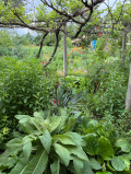 Продава КЪЩА, гр. Плиска, област Шумен, снимка 2