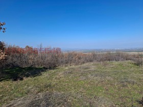 ����� ������� ������,�. ����������, ������ ���������