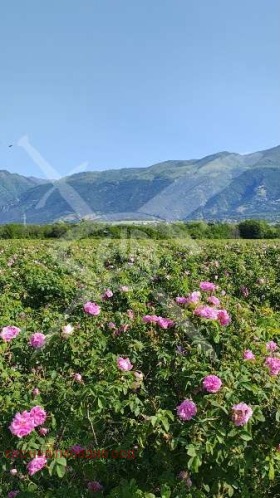 ������ ������� ���������� ����