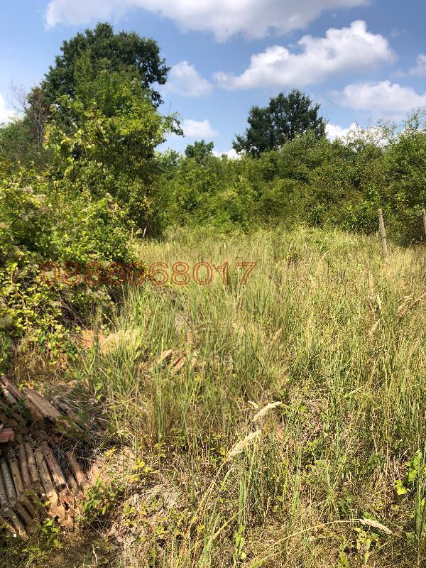 Продава КЪЩА, гр. Дряново, област Габрово, снимка 14 - Къщи - 52953130