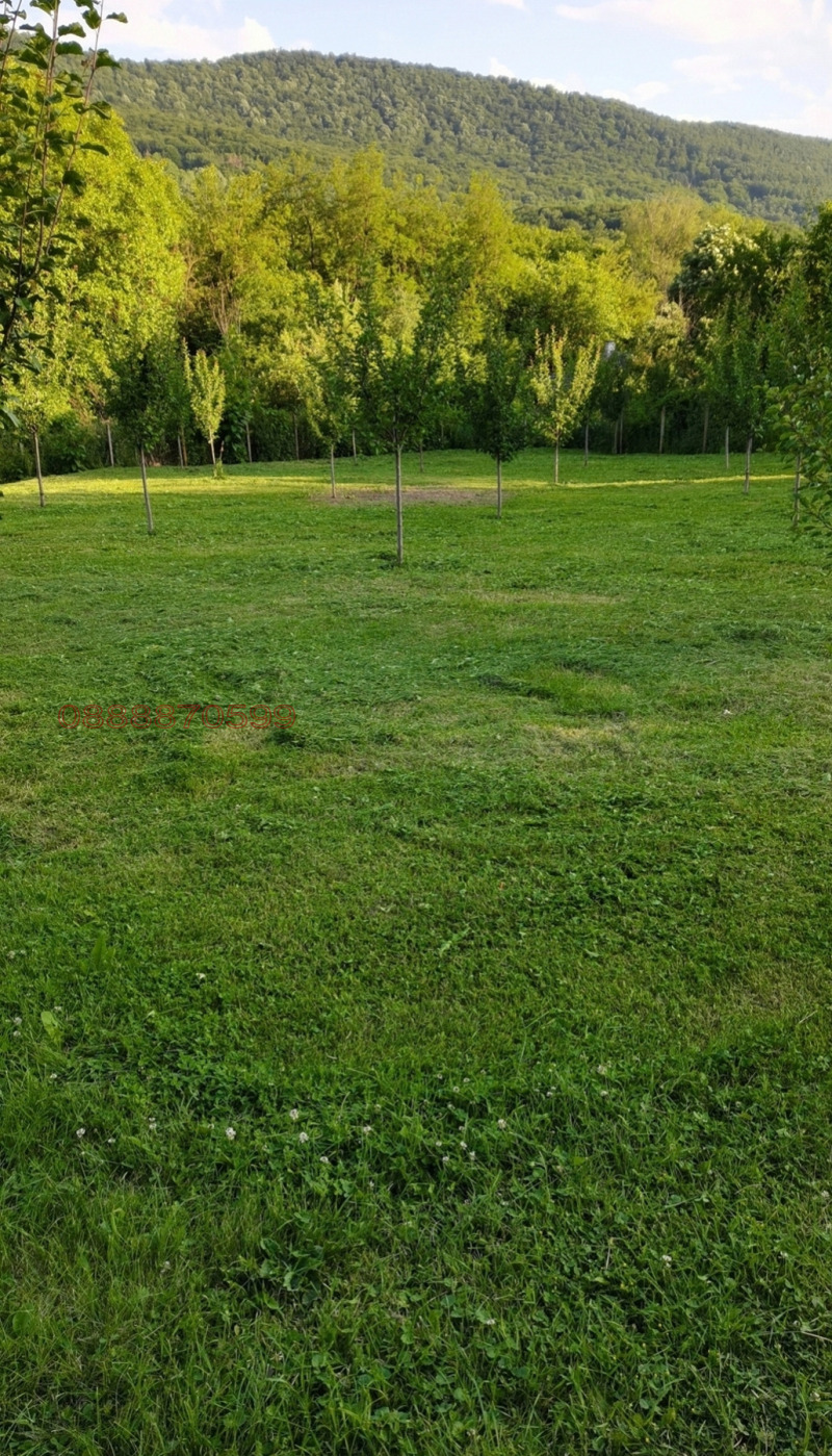 Продава ПАРЦЕЛ, с. Българене, област Ловеч, снимка 6 - Парцели - 53301001