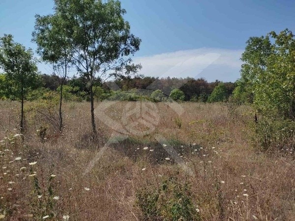 Продава ПАРЦЕЛ, област Бургас, с. Писменово • 80000 € / 156466.40 лв. • 15143846 1