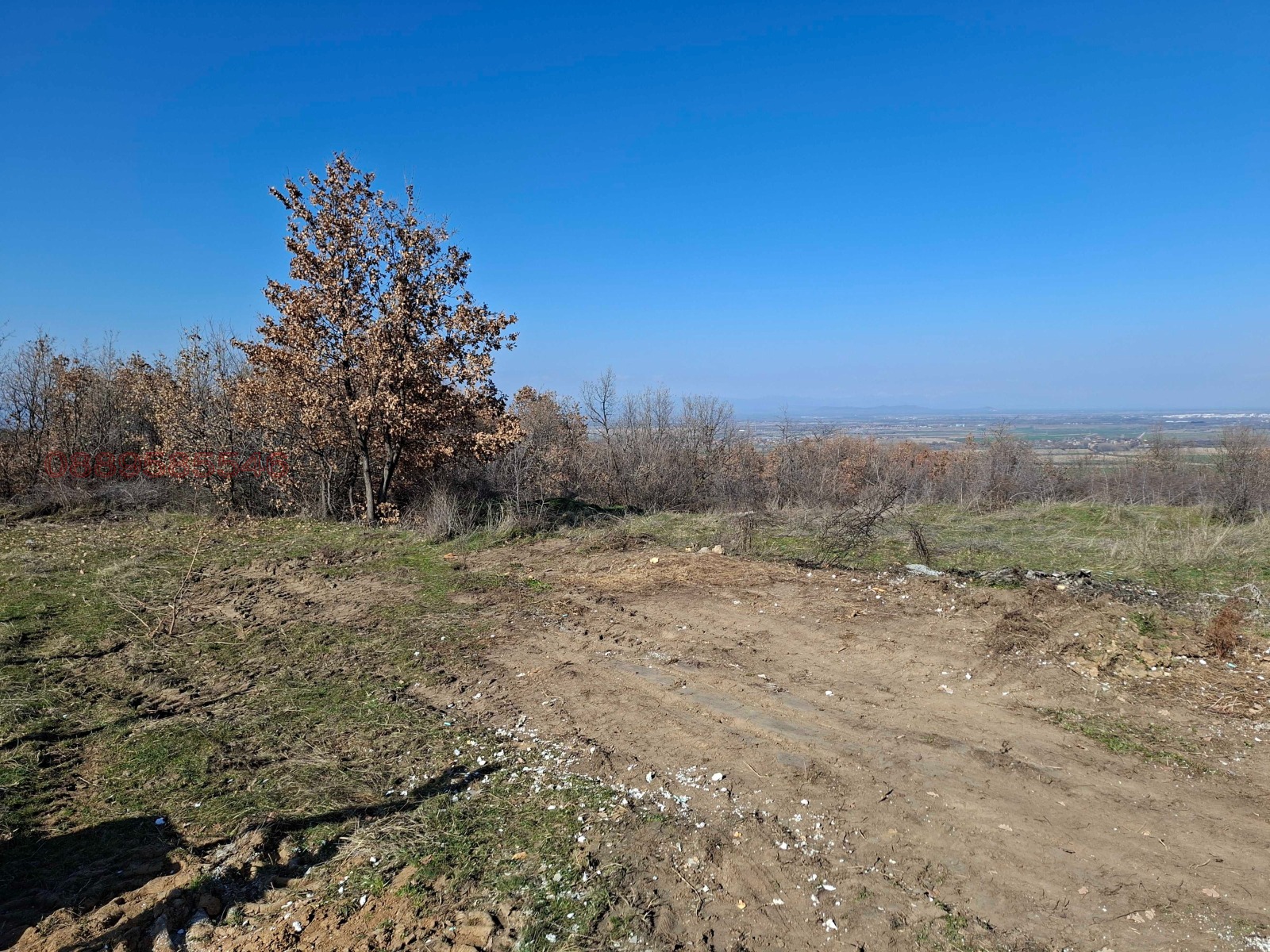 Продава ПАРЦЕЛ, с. Паталеница, област Пазарджик, снимка 2 - Парцели - 54202421