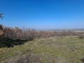 Продава ПАРЦЕЛ, с. Паталеница, област Пазарджик, снимка 1