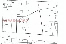 ����� ������� ����,���� ����, ������ ����