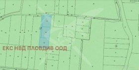 ����� ������� ������,�. �������, ������ �������