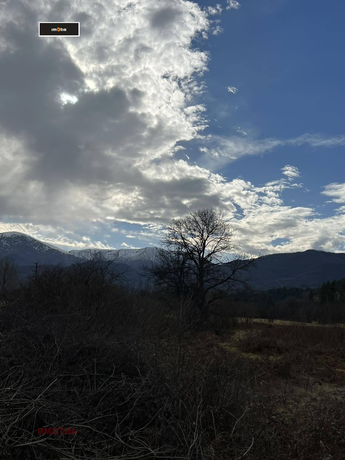 ������� ������ | Imot.bg � ����������� 7