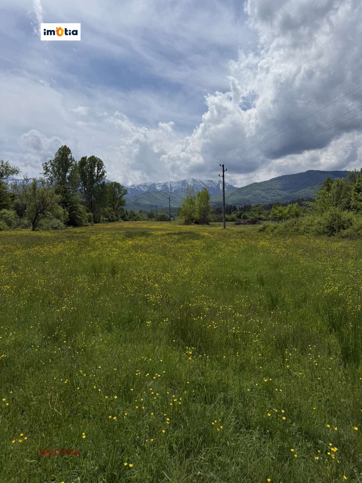 ������� ������ | Imot.bg � ����������� 8