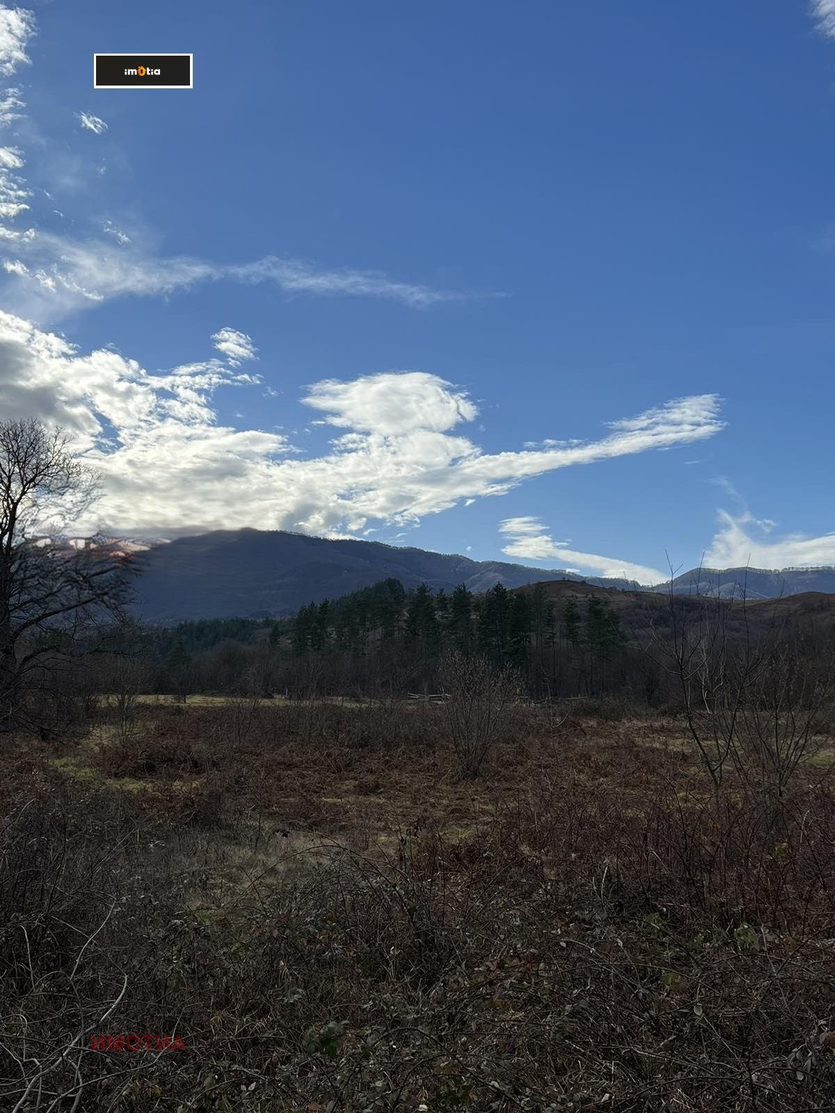 ������� ������ | Imot.bg � ����������� 6