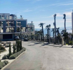 ����� ������� ����������,���� �����, ����� ������