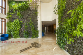 ����� ������� �������,���� �����, �������� ����