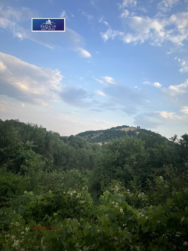 Til salgs  Hus region Blagoevgrad , Rakitna , 500 kvm | 71189848 - bilde [7]