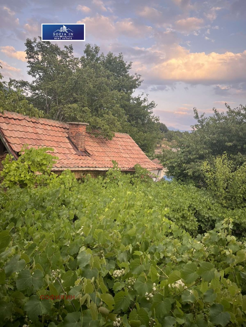 Til salgs  Hus region Blagoevgrad , Rakitna , 500 kvm | 71189848 - bilde [6]