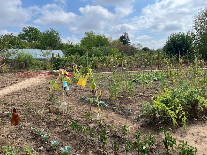 Продава КЪЩА, с. Бръшлен, област Русе, снимка 11 - Къщи - 52783084